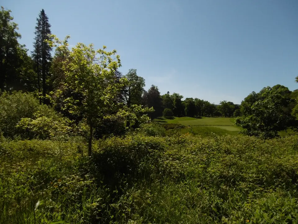 Rough and trees beside a fairway at Loch Lomond Golf Club near Luss