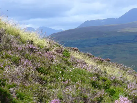 Conic Hill with a grassy heather summit and Ben Lomond behind